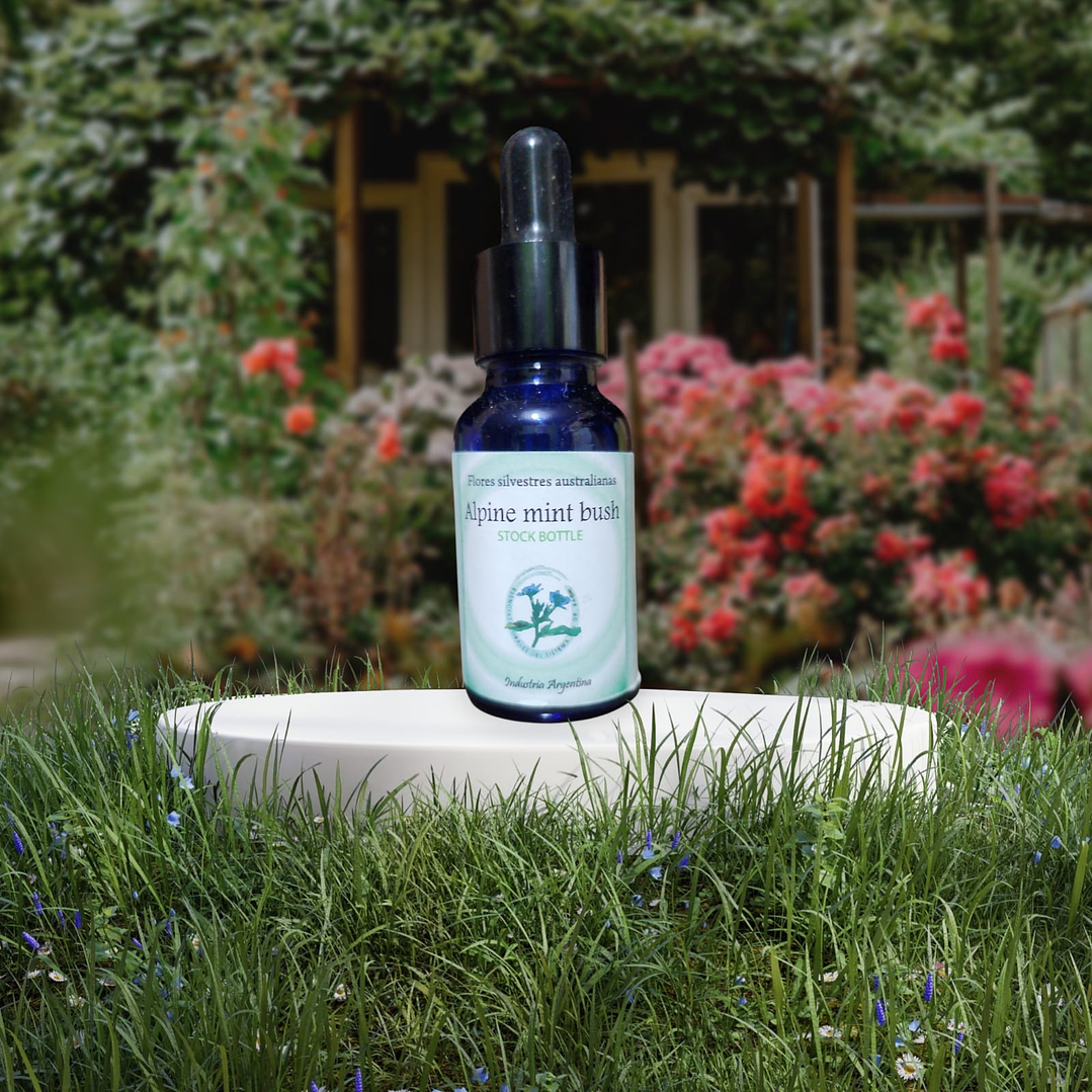 Alpine Mint Busch 15ml 1