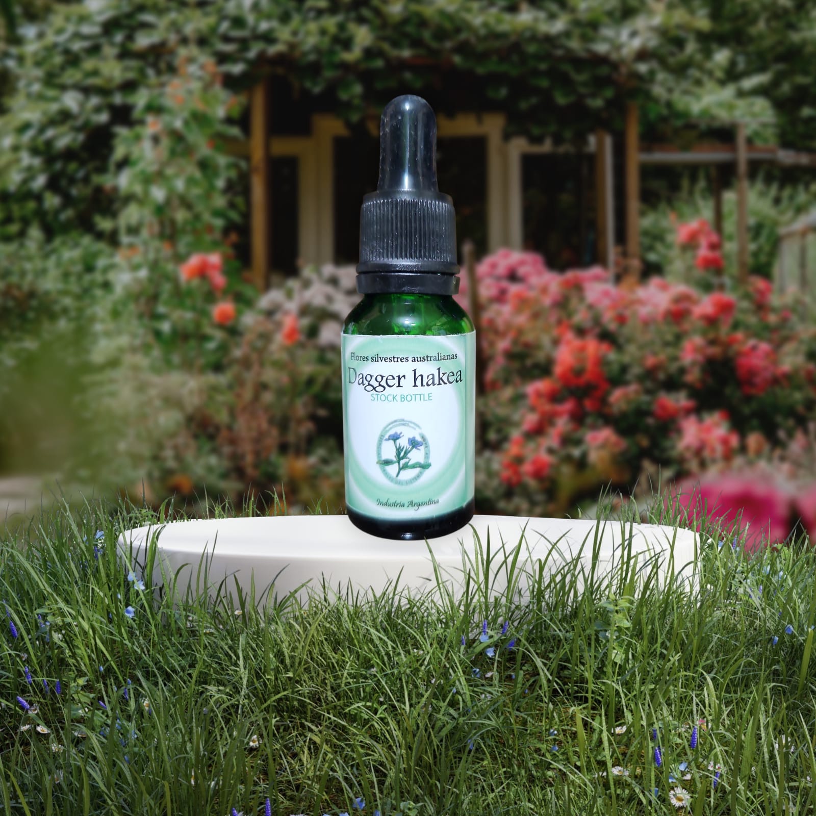 Dagger Hakea 15ml