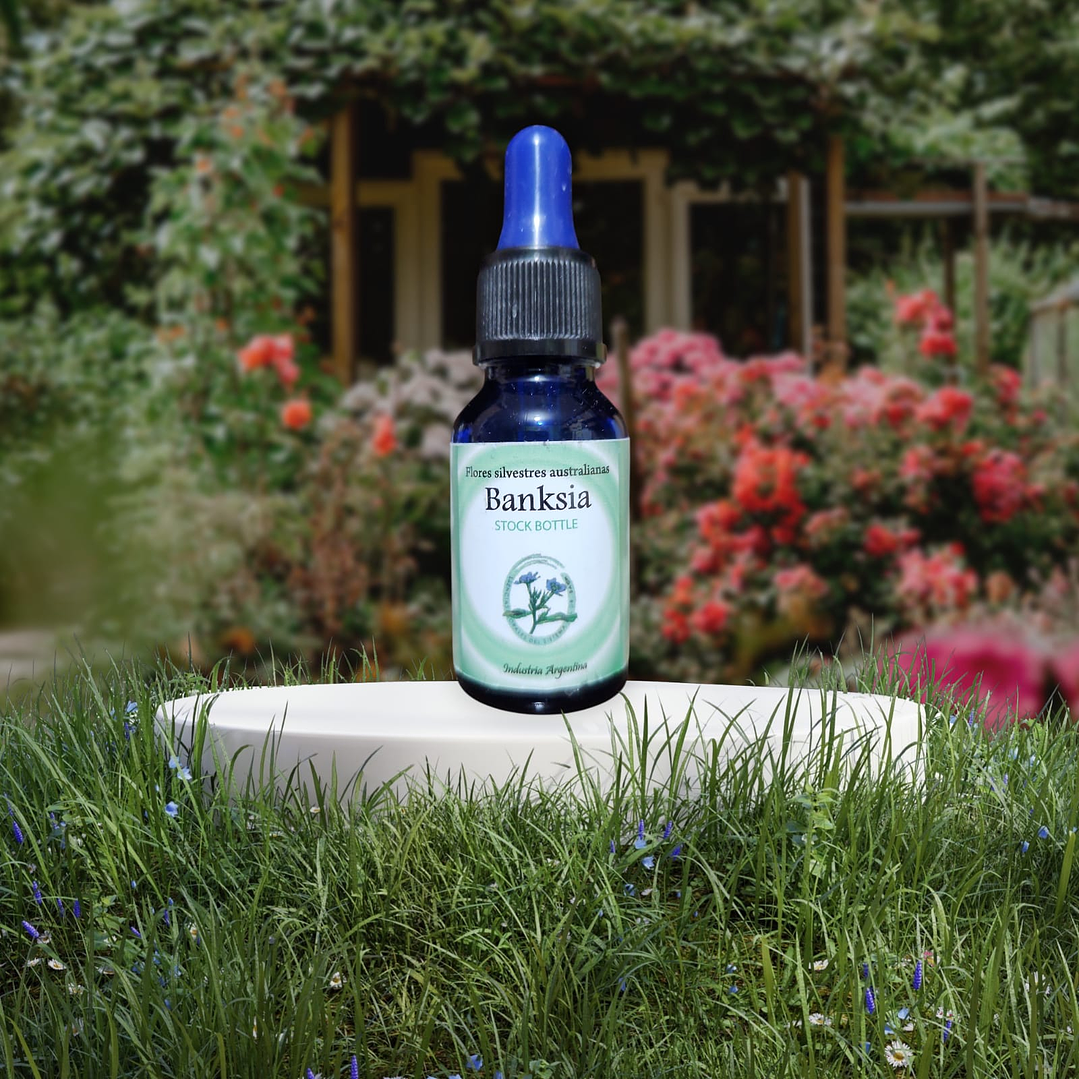 Banksia Robur 15ml 1