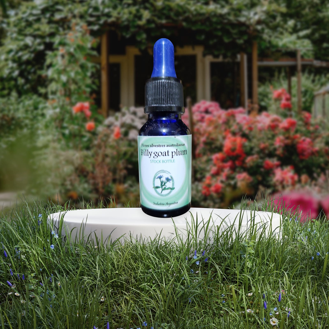 Billy Goat Plum 15ml 1