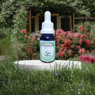 Bottlebrush 15ml