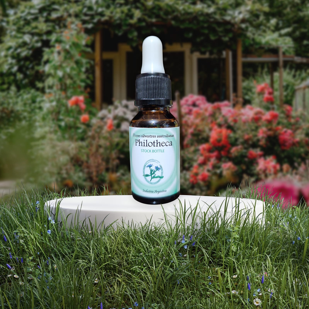 Philotheca 15ml 1