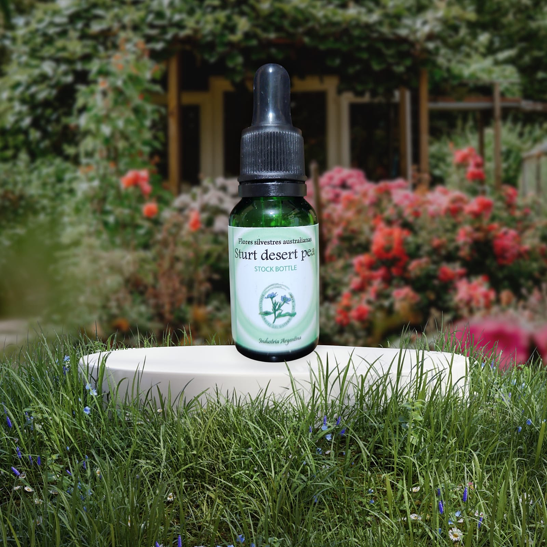 Sturt Desert Pea 15ml 1