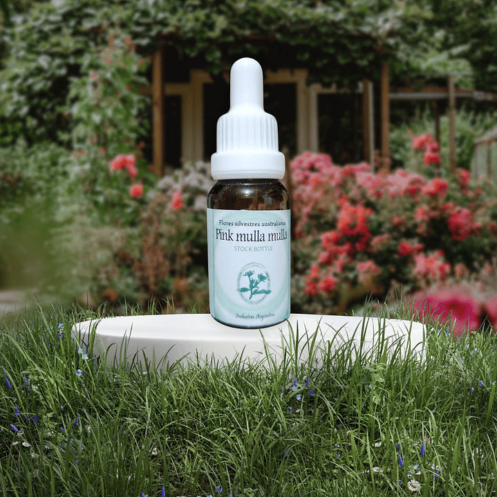 Pink Mulla Mulla 15ml 1