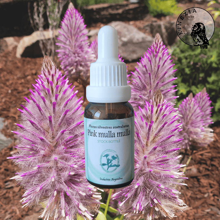 Pink Mulla Mulla 15ml 2