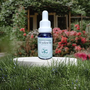 Tall Yellow Top 15ml