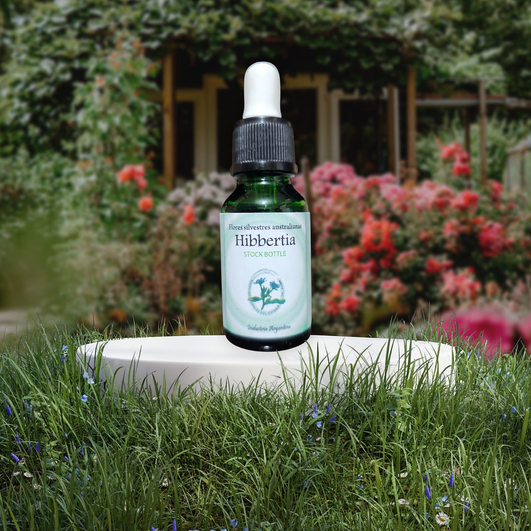 Hibbertia 15ml 1