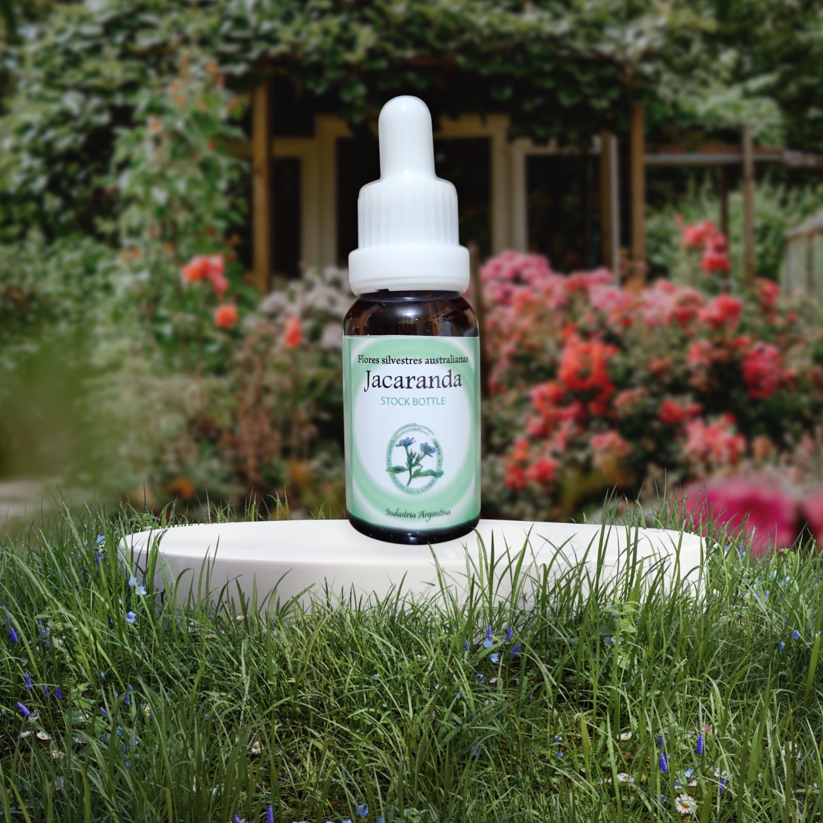 Jacaranda 15ml