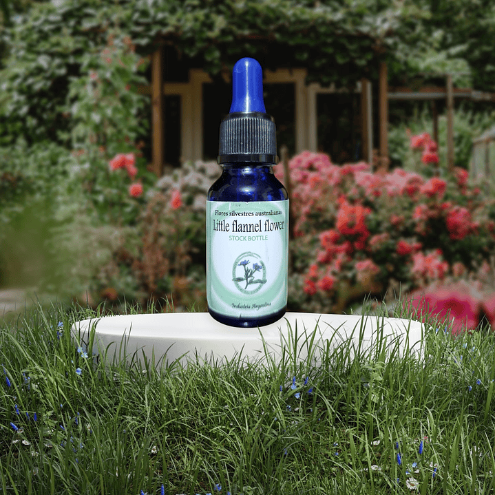 Little Flanel Flower 15ml 1