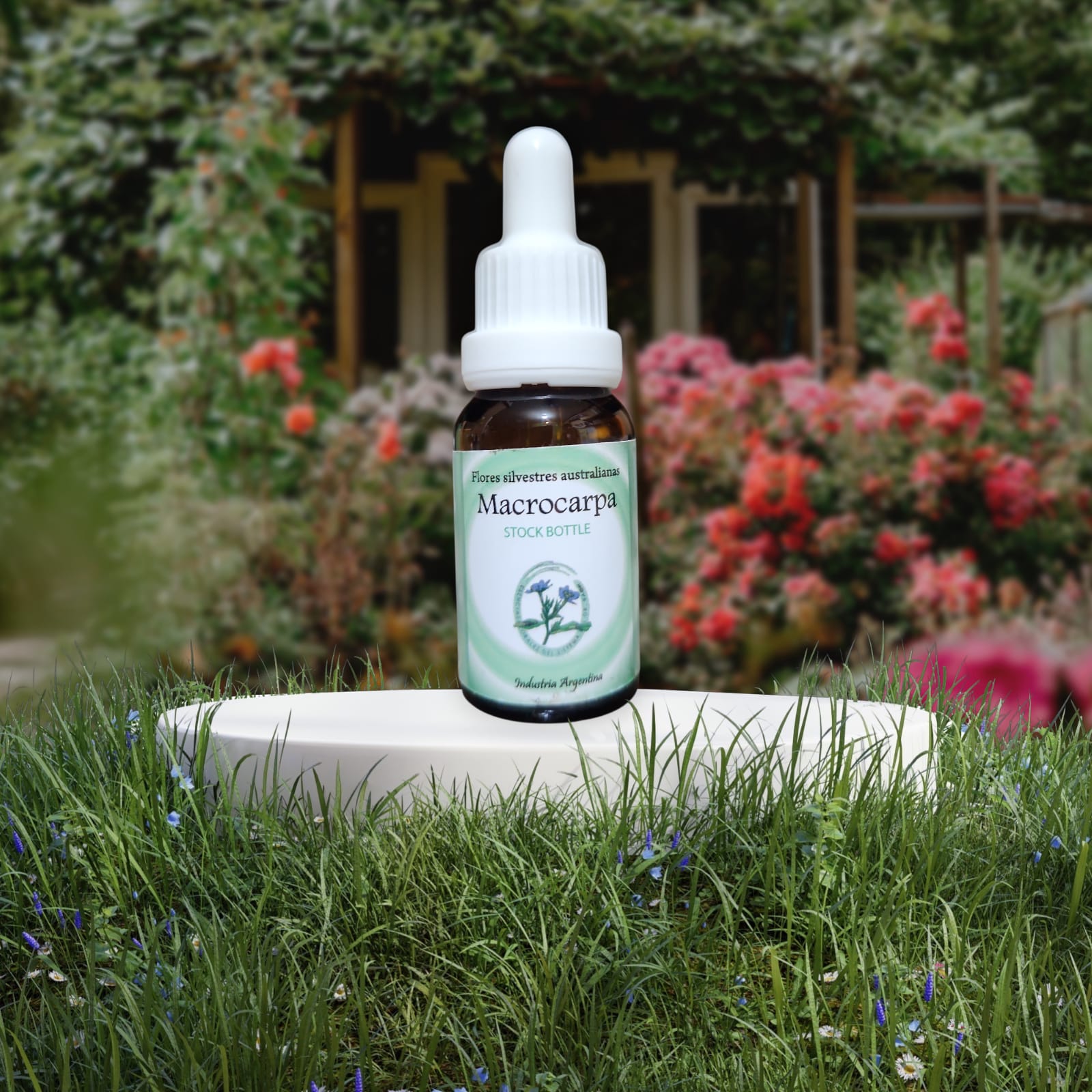 Macrocarpa 15ml