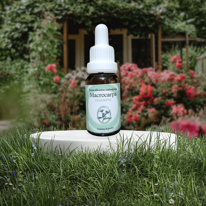 Macrocarpa 15ml 1