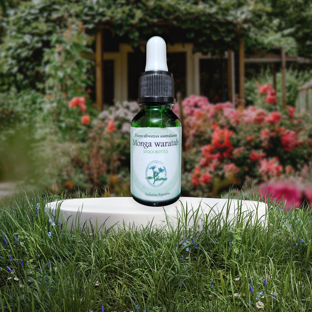 Monga Waratah 15ml 1