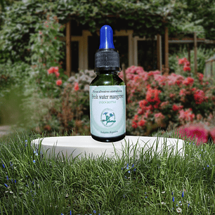 Freshwater Mangrove 15ml