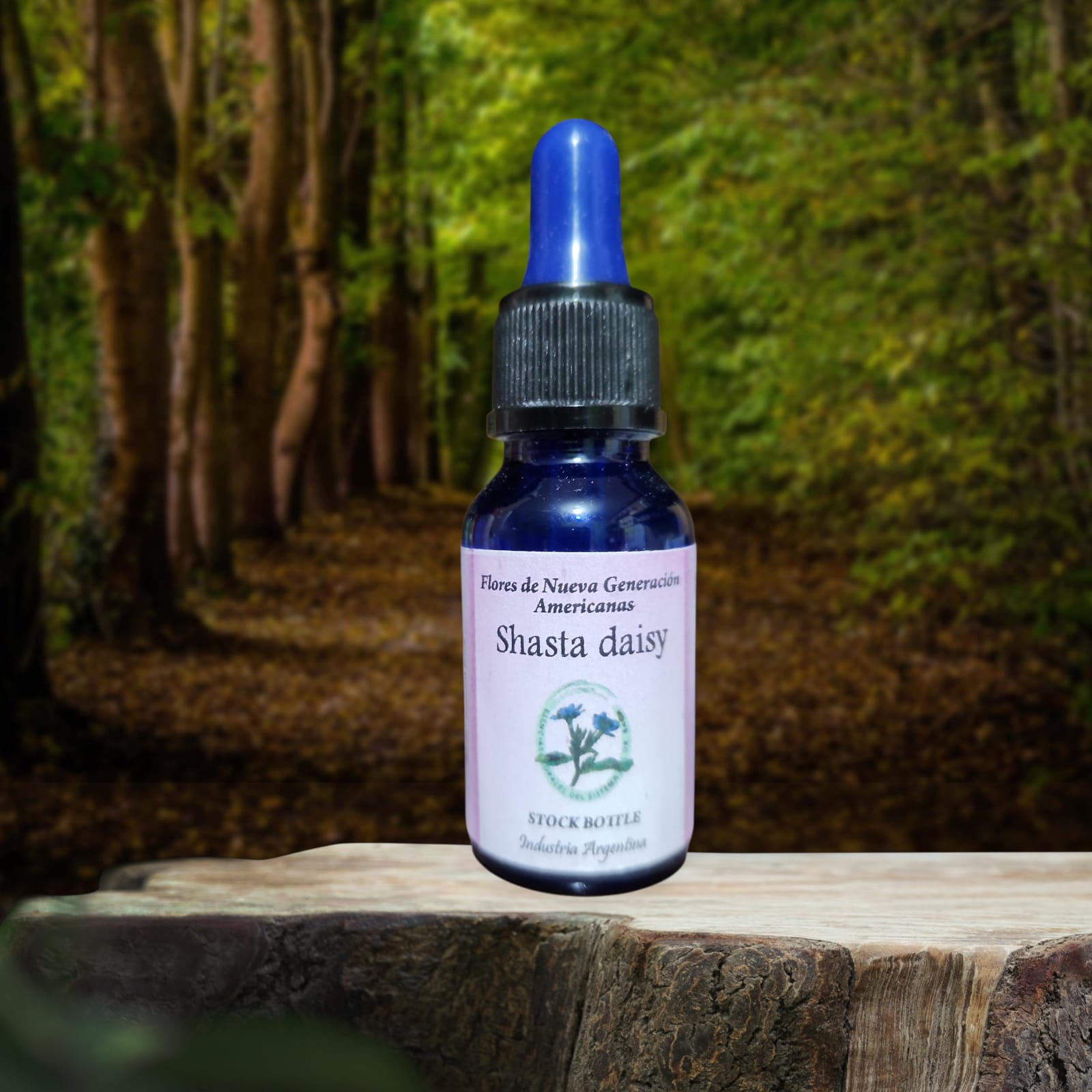 Shasta Daisy 15ml