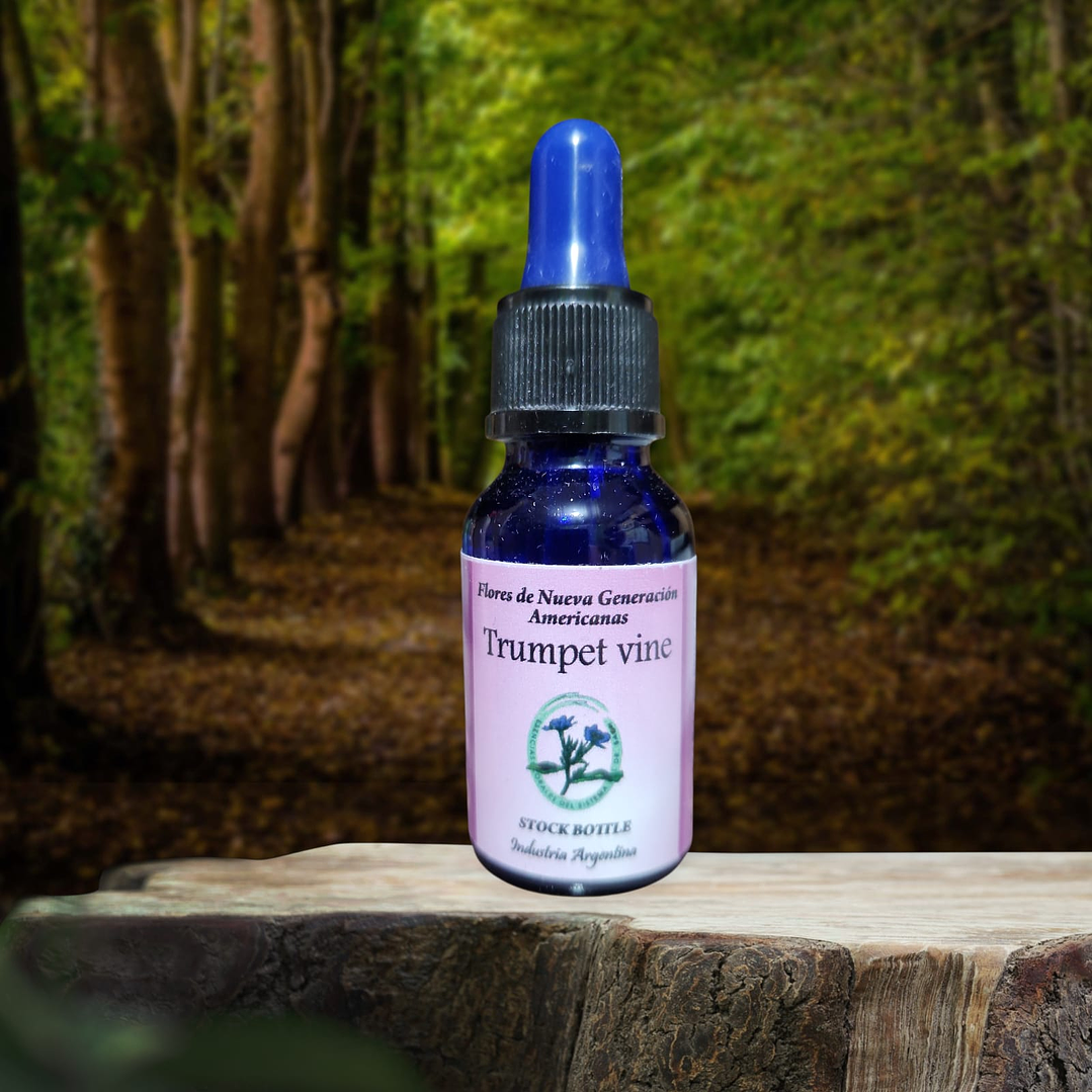 Trumpet Vine 15ml 1