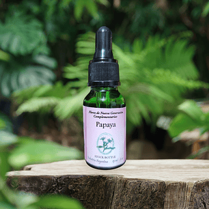 Papaya 15ml