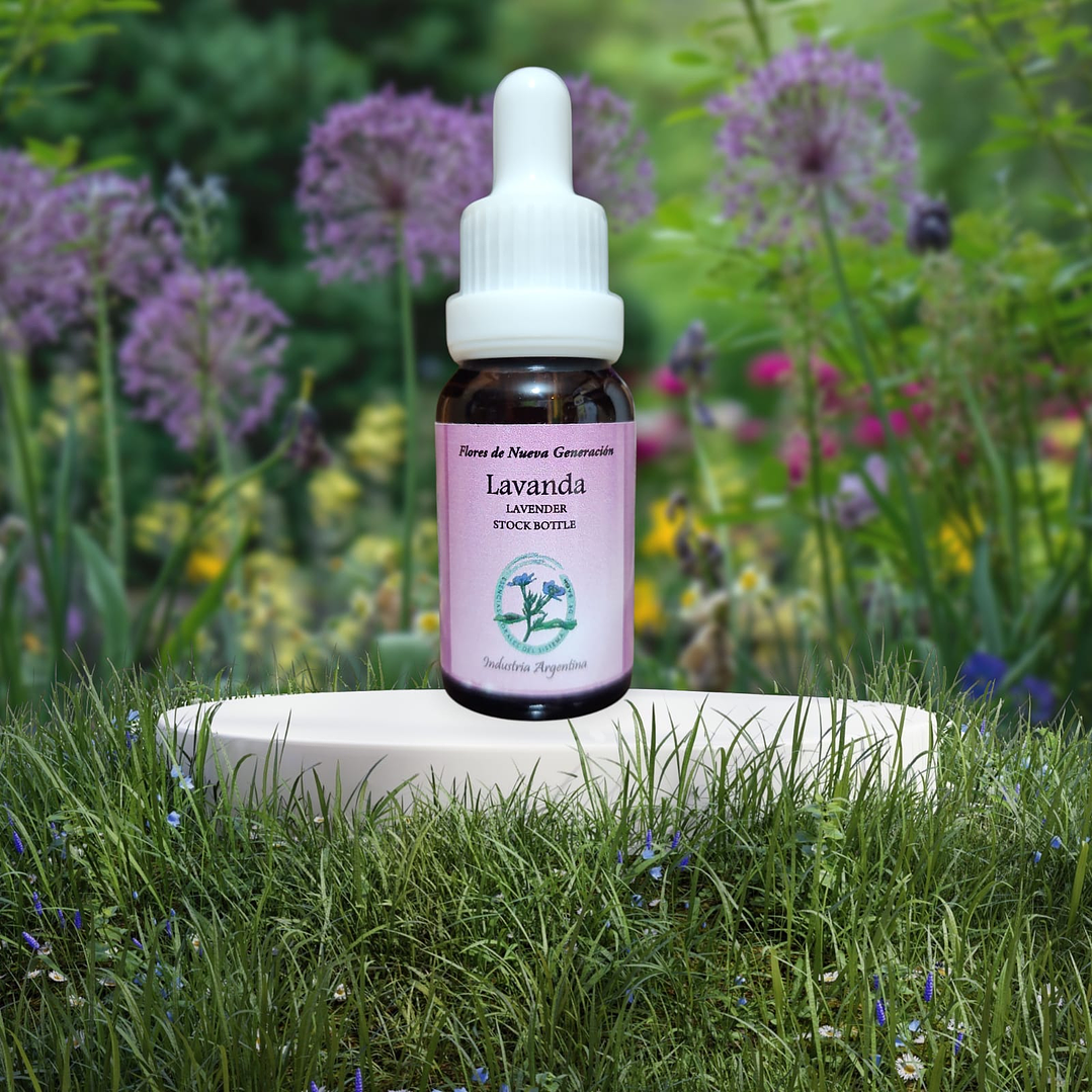 Lavanda 15ml ( Lavender ) 1