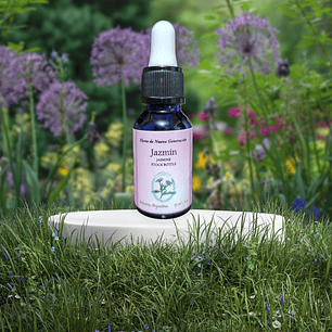 Jazmín 15ml ( Jasmine )