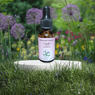 Cardo 15ml (Thistle)