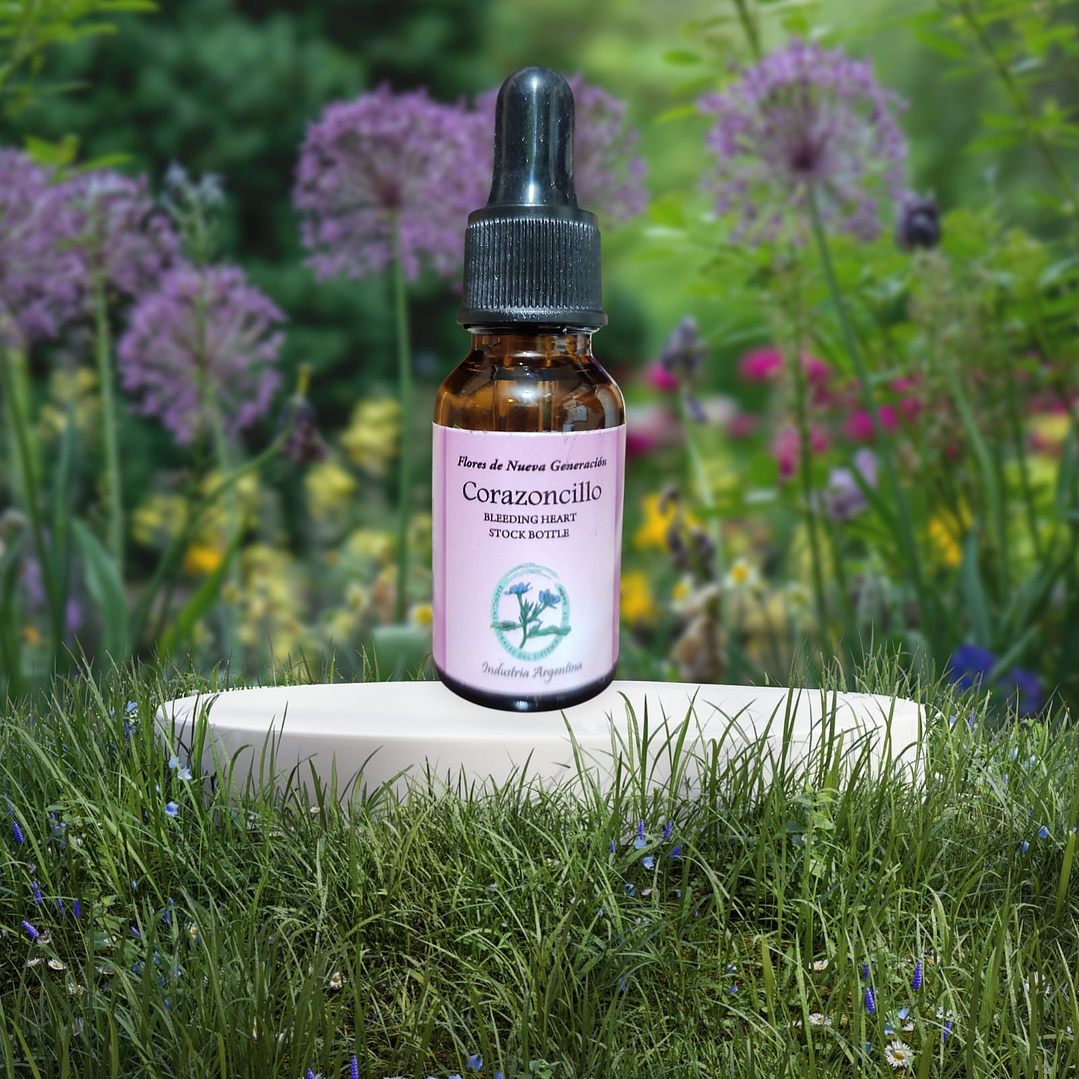 Corazoncillo 15ml (Bleeding Heart) 1
