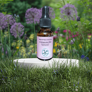 Corazoncillo 15ml (Bleeding Heart)