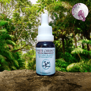 White Chestnut 15ml