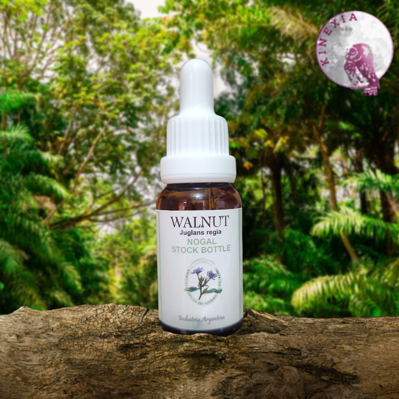 Walnut 15ml