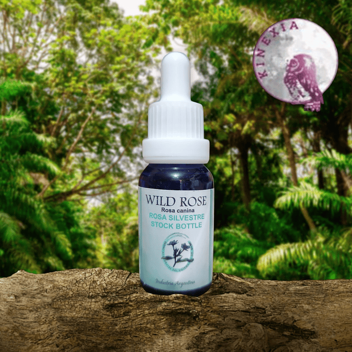 Wild Rose 15ml 1