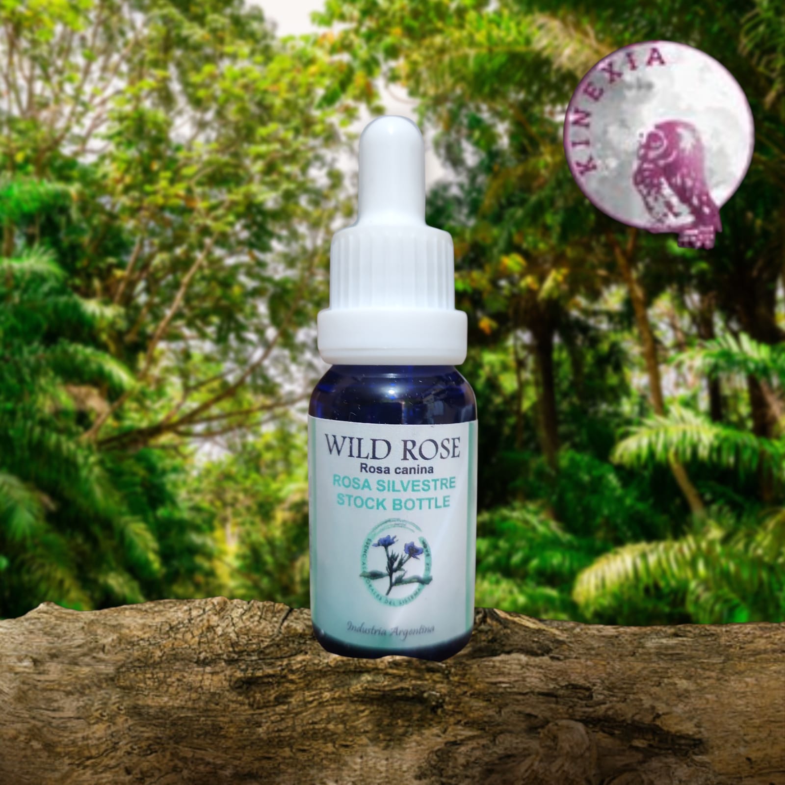 Wild Rose 15ml