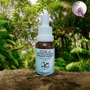 Star of Bethlehem - Estrella de Belen 15ml