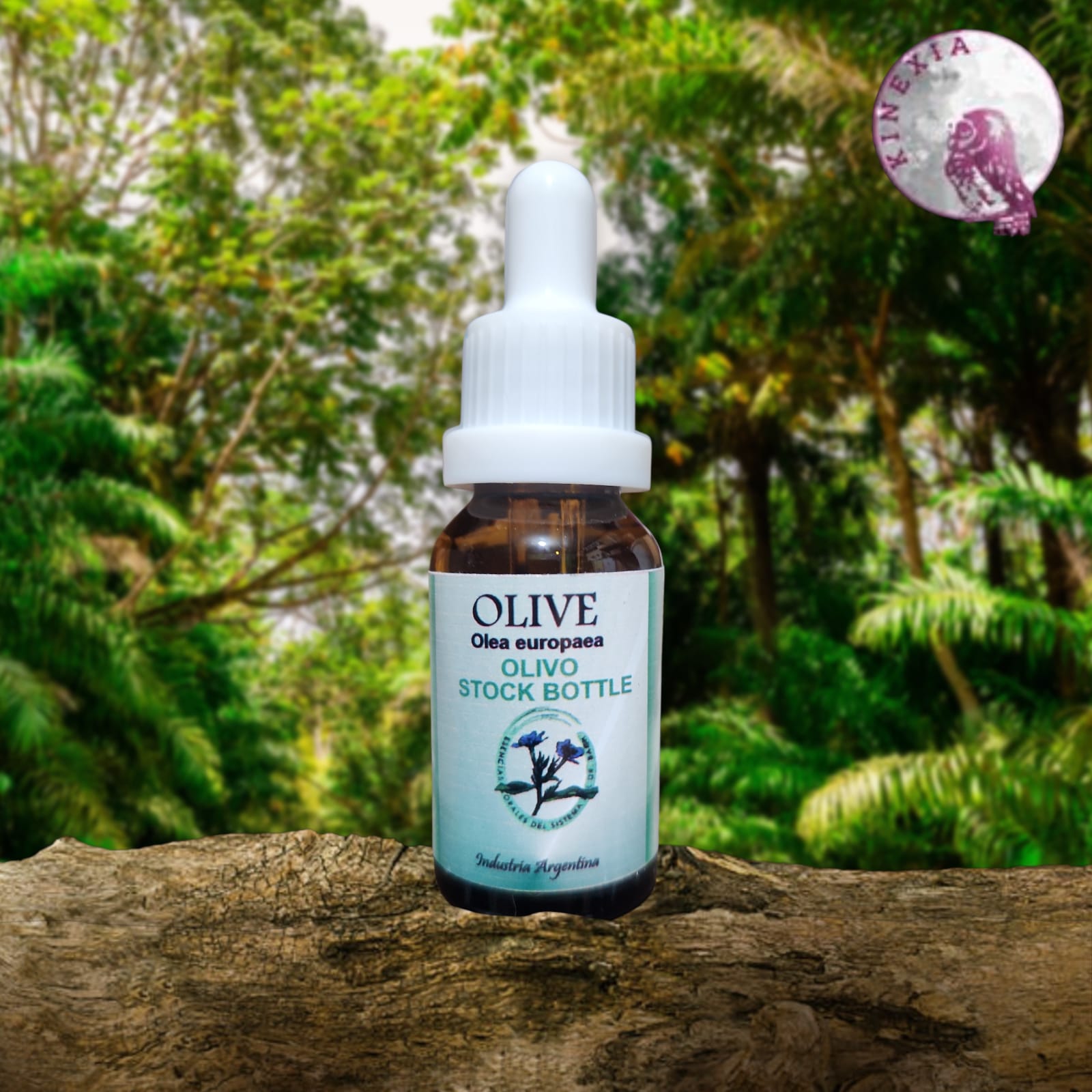 Olive 15ml