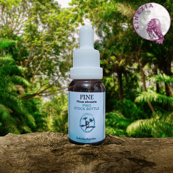 Pine 15ml 1