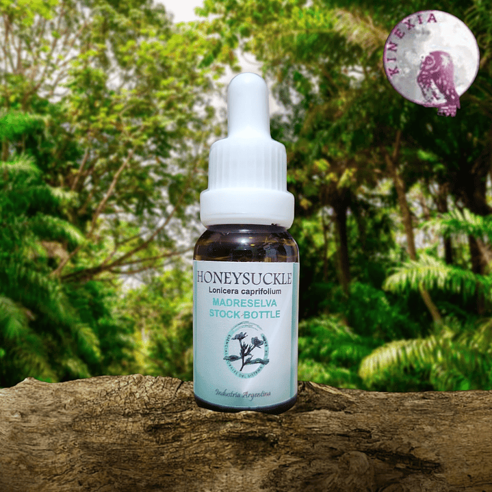 Honeysuckle 15ml 1