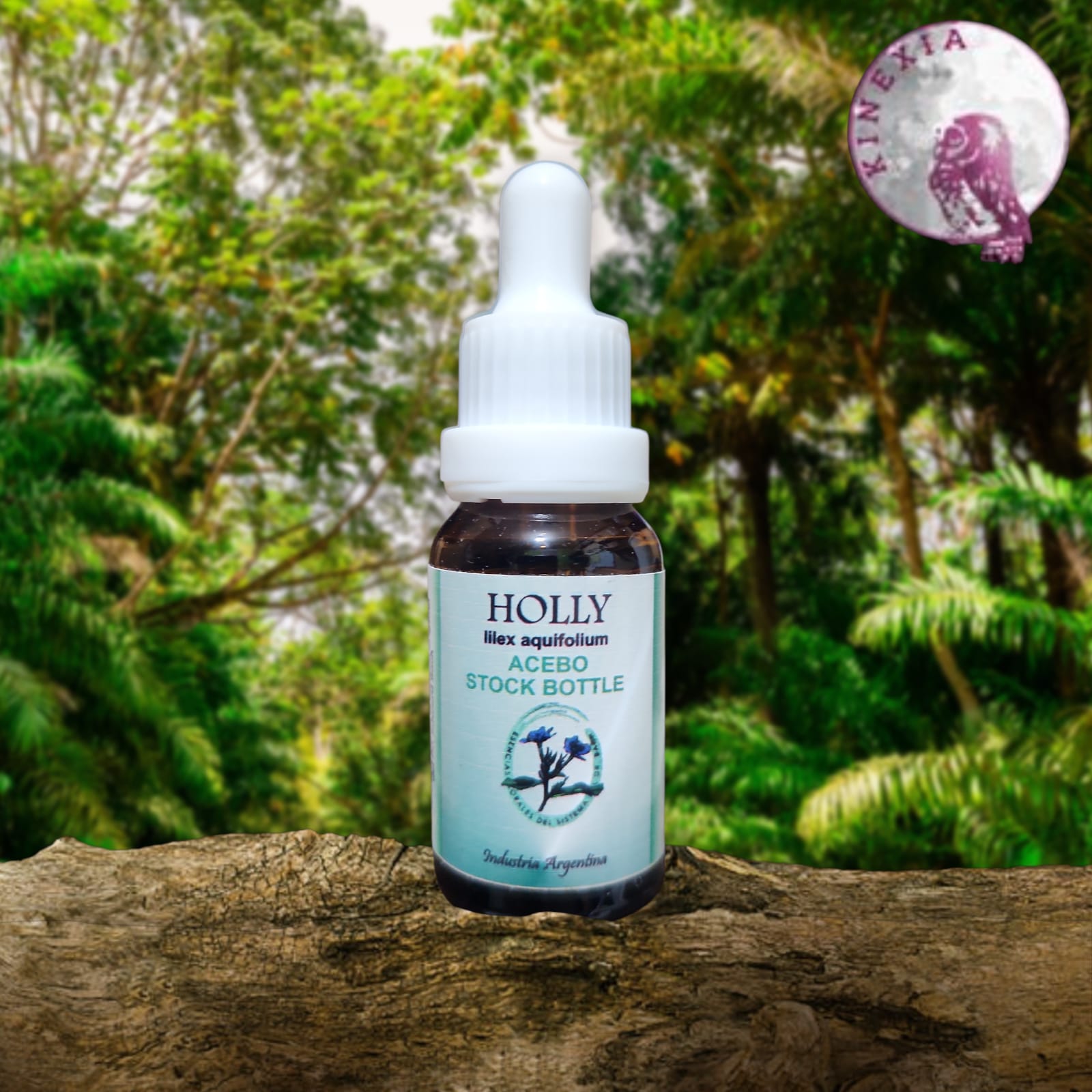 Holly 15ml