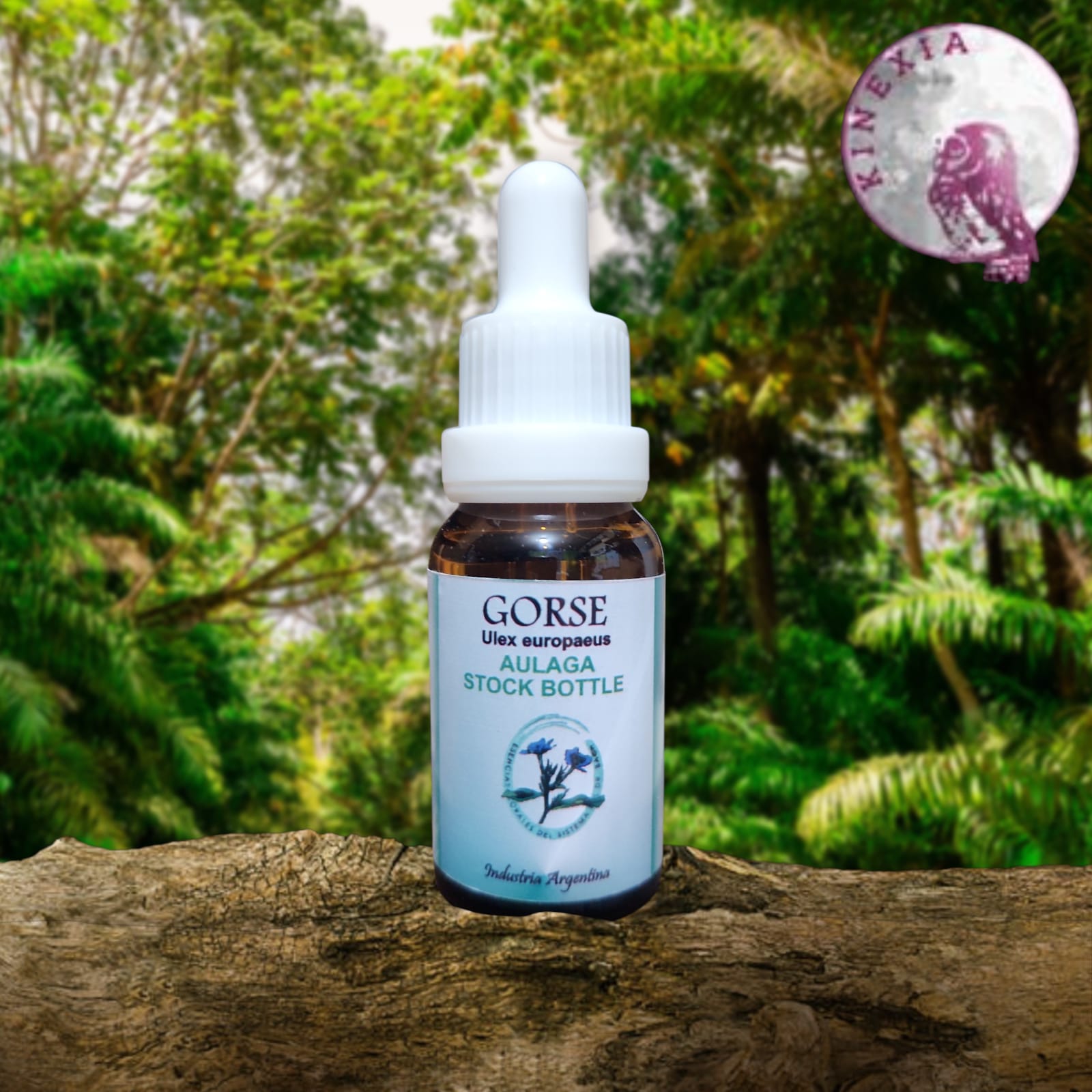 Gorse 15ml
