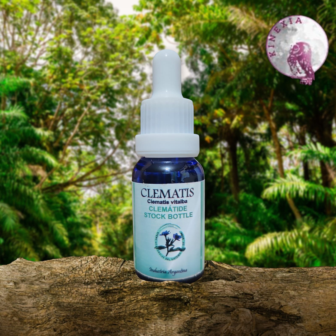 Clematis 15ml 1