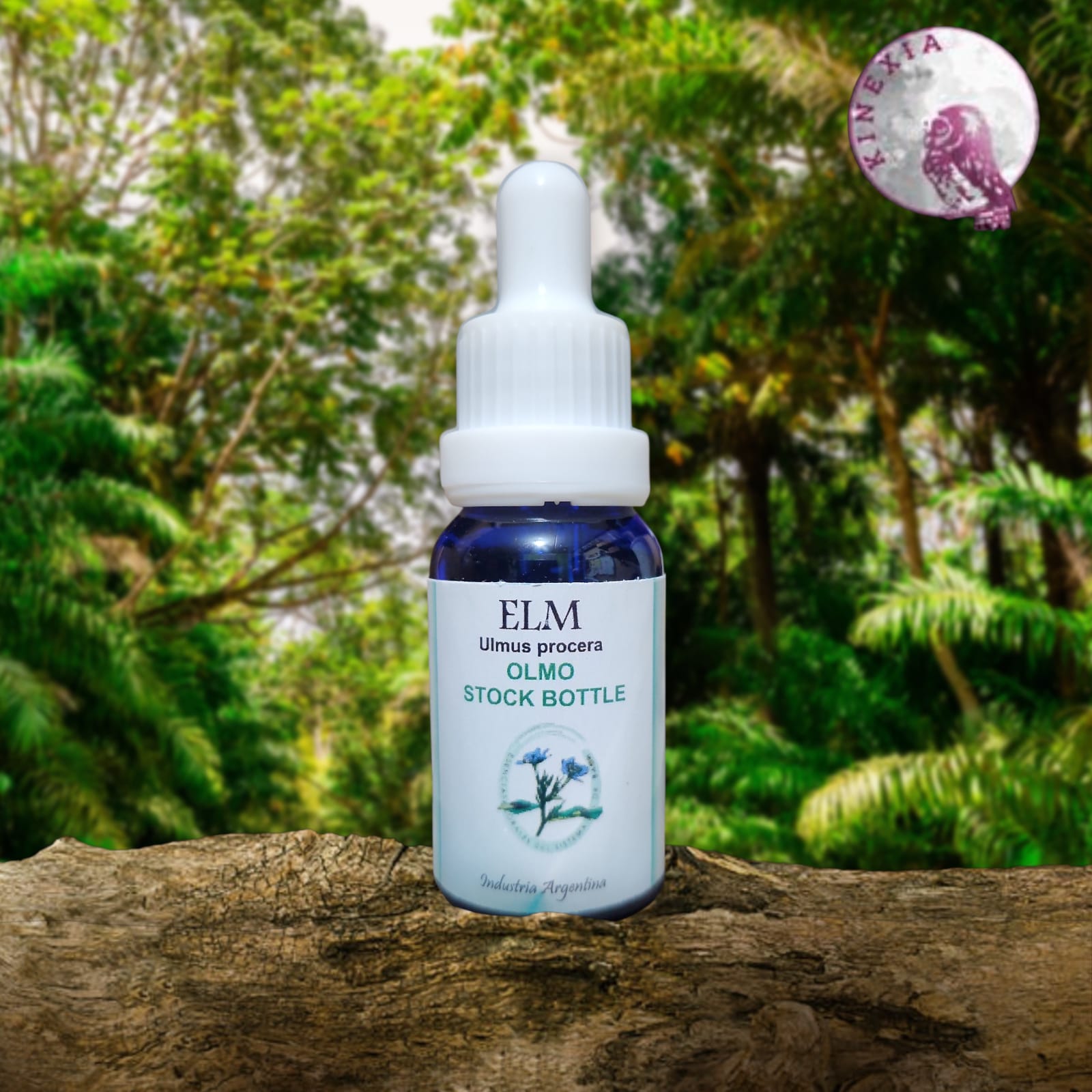 Elm 15ml