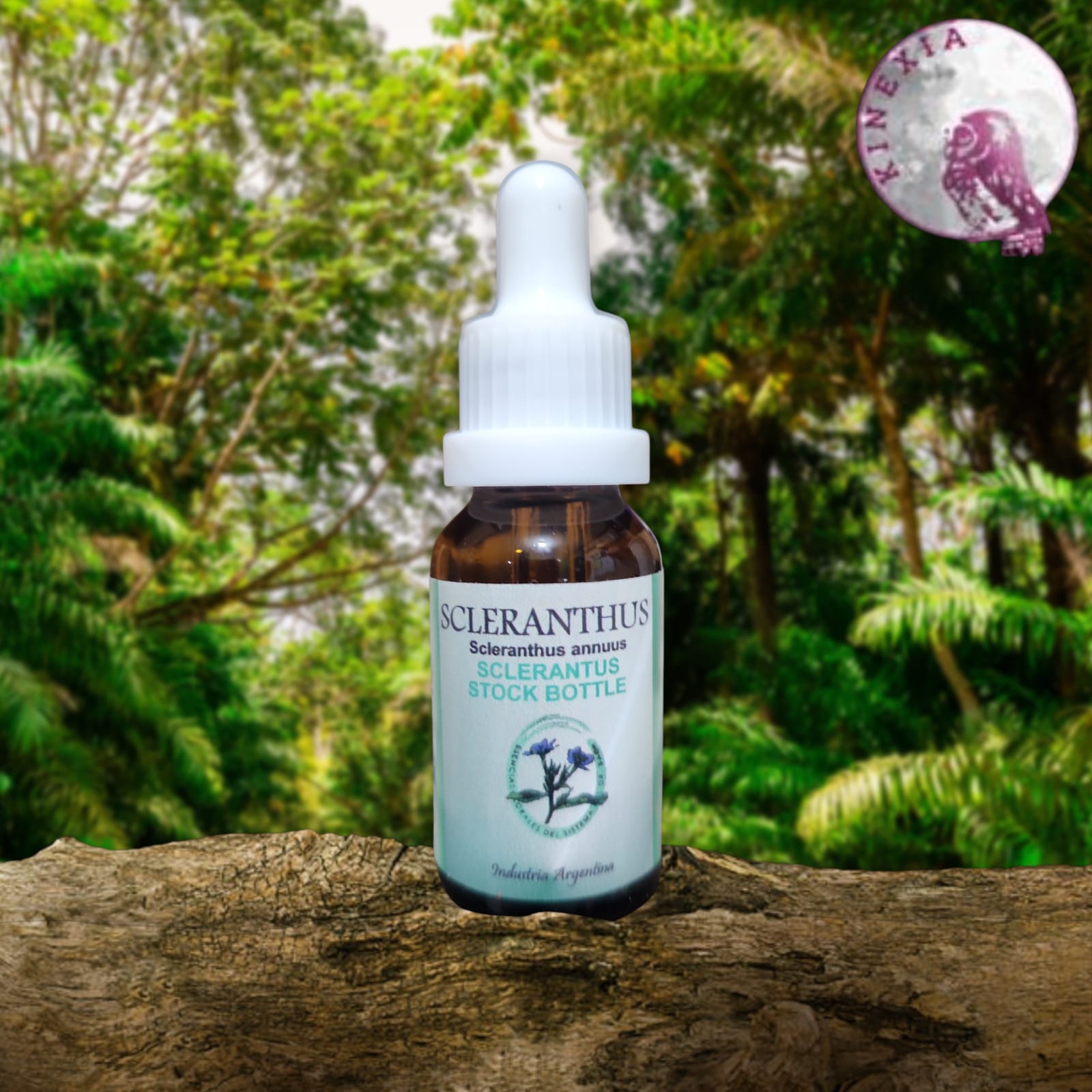 Sclerantthus 15ml