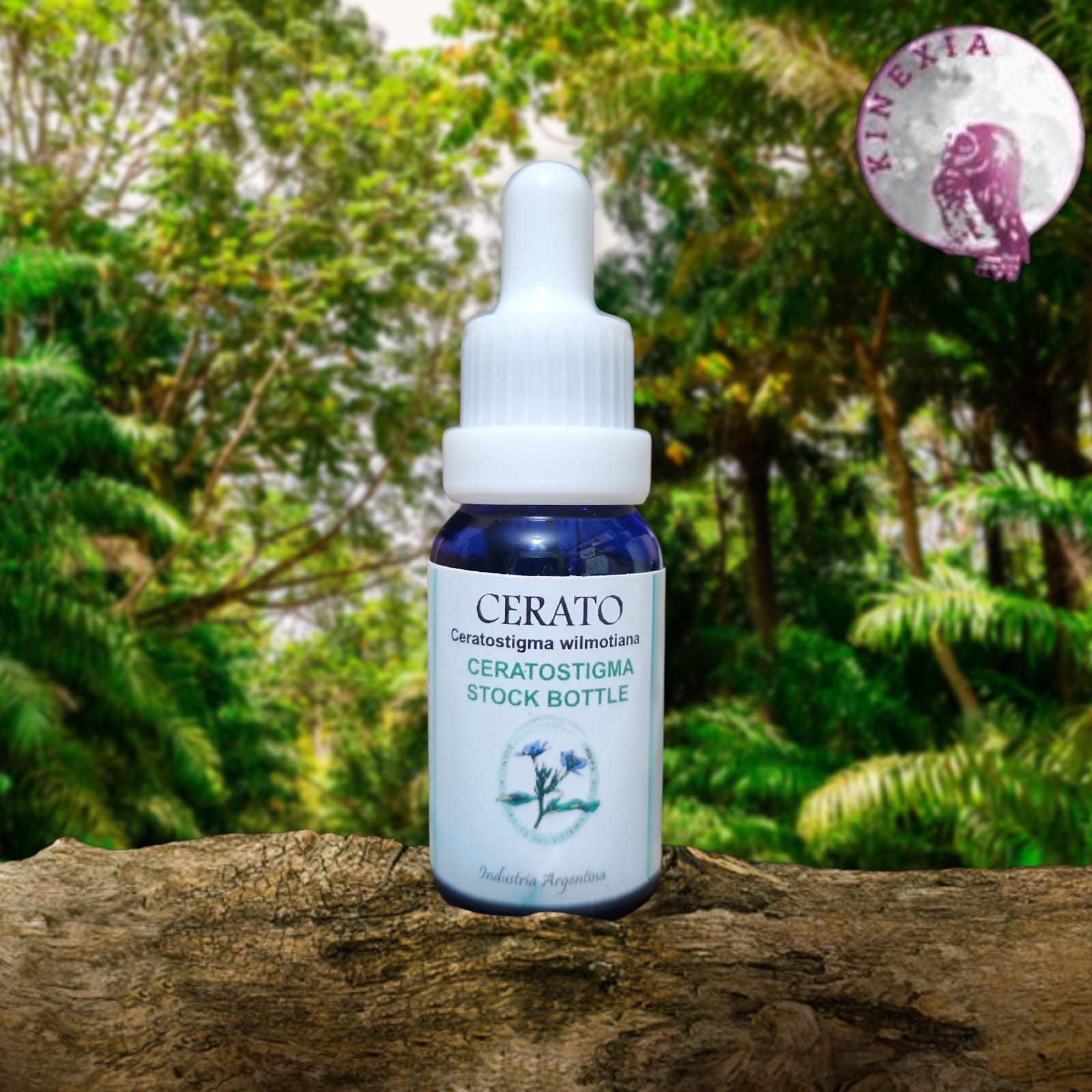 Cerato 15ml