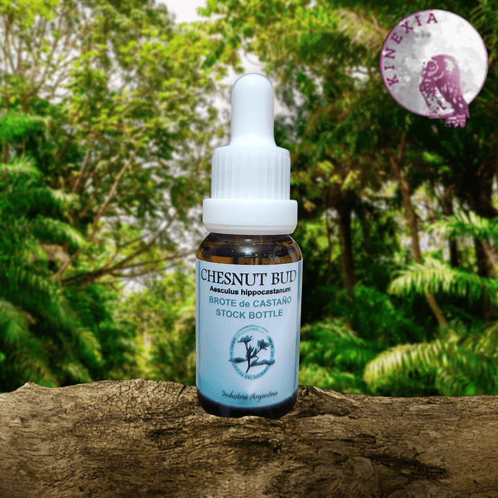 Chestnut Bud 15ml 1
