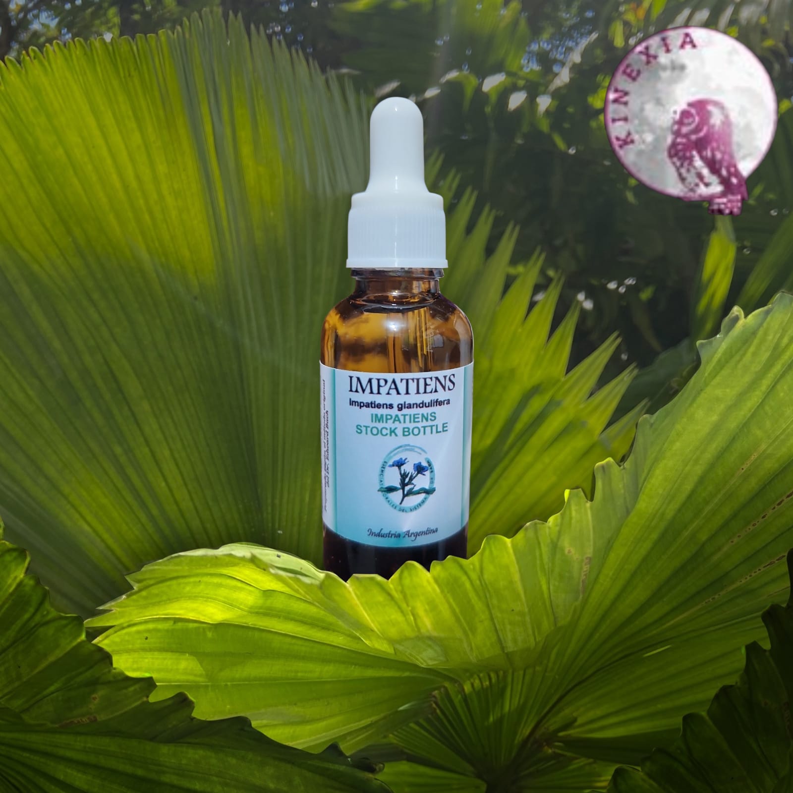 Impatiens 30ml