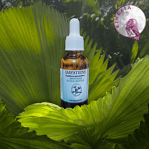 Impatiens 30ml