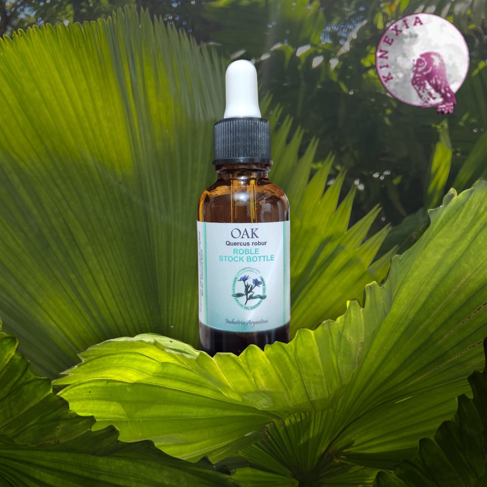 Oak 30ml