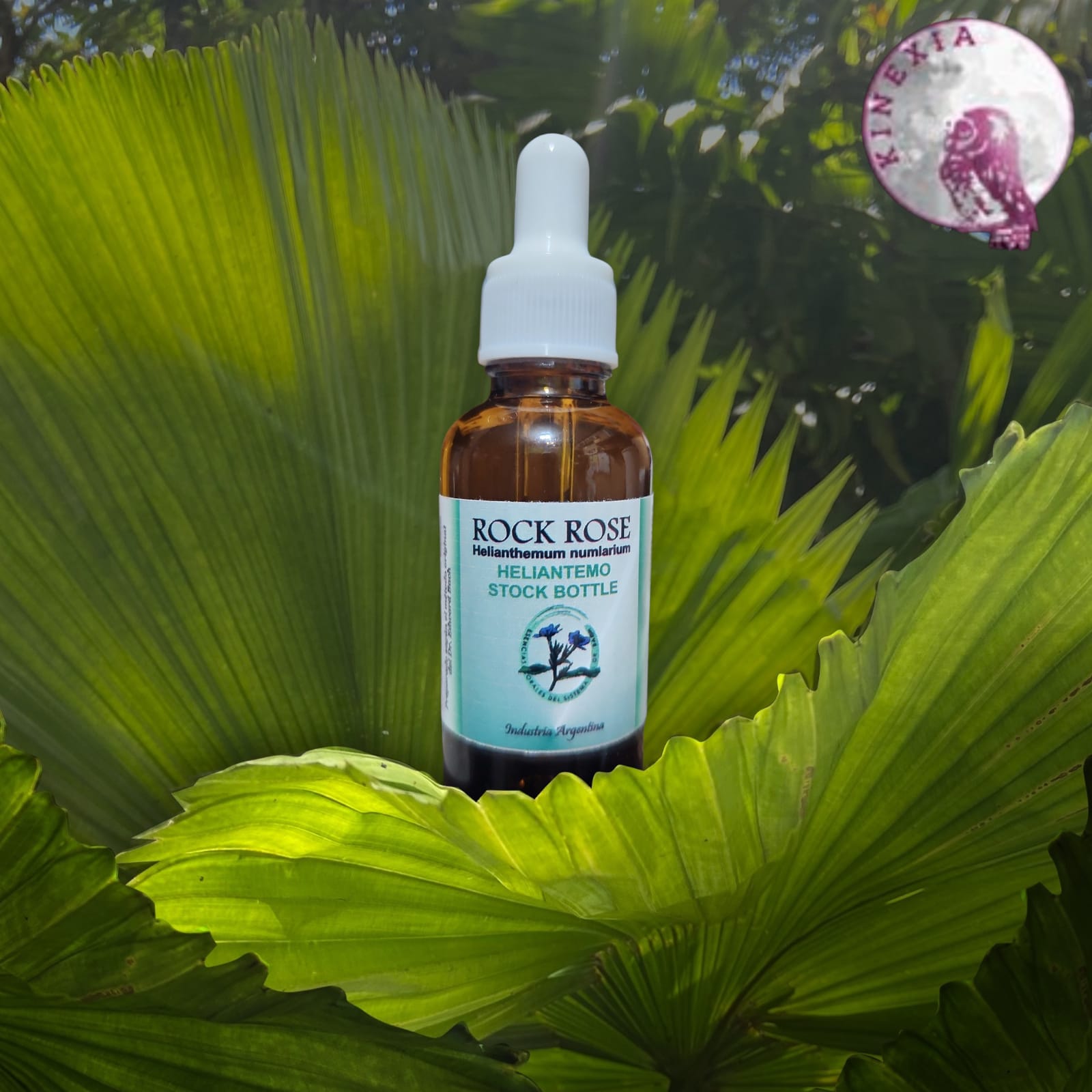 Rock Rose 30ml
