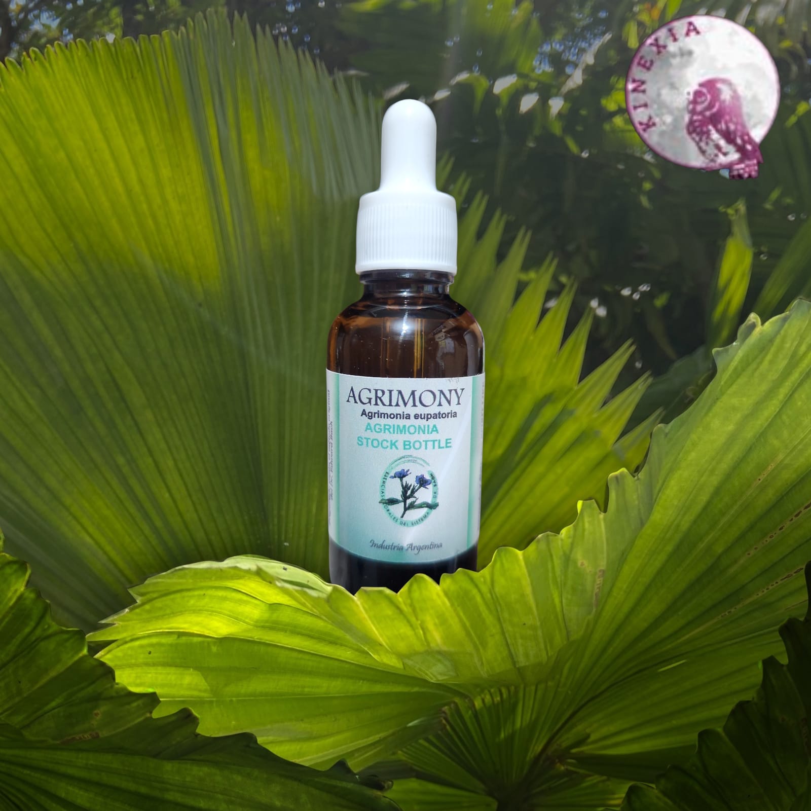 Agrimony 30ml