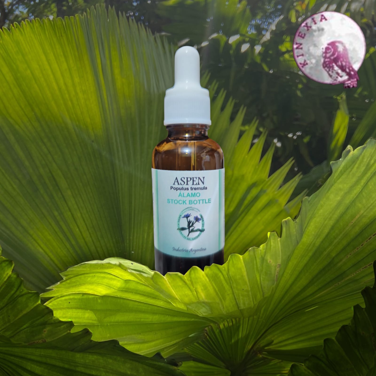 Aspen 30ml