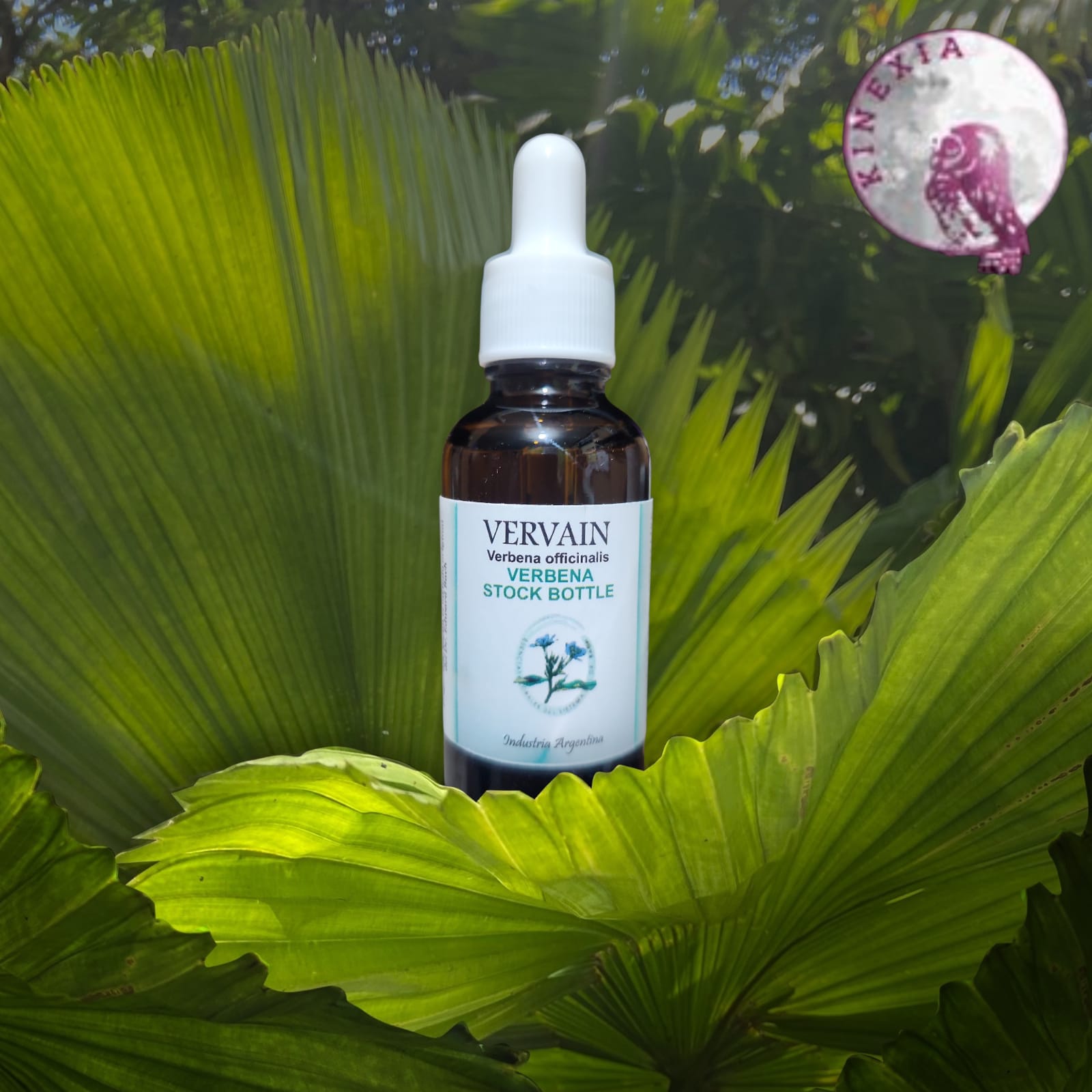 Vervain - Verbena 30ml