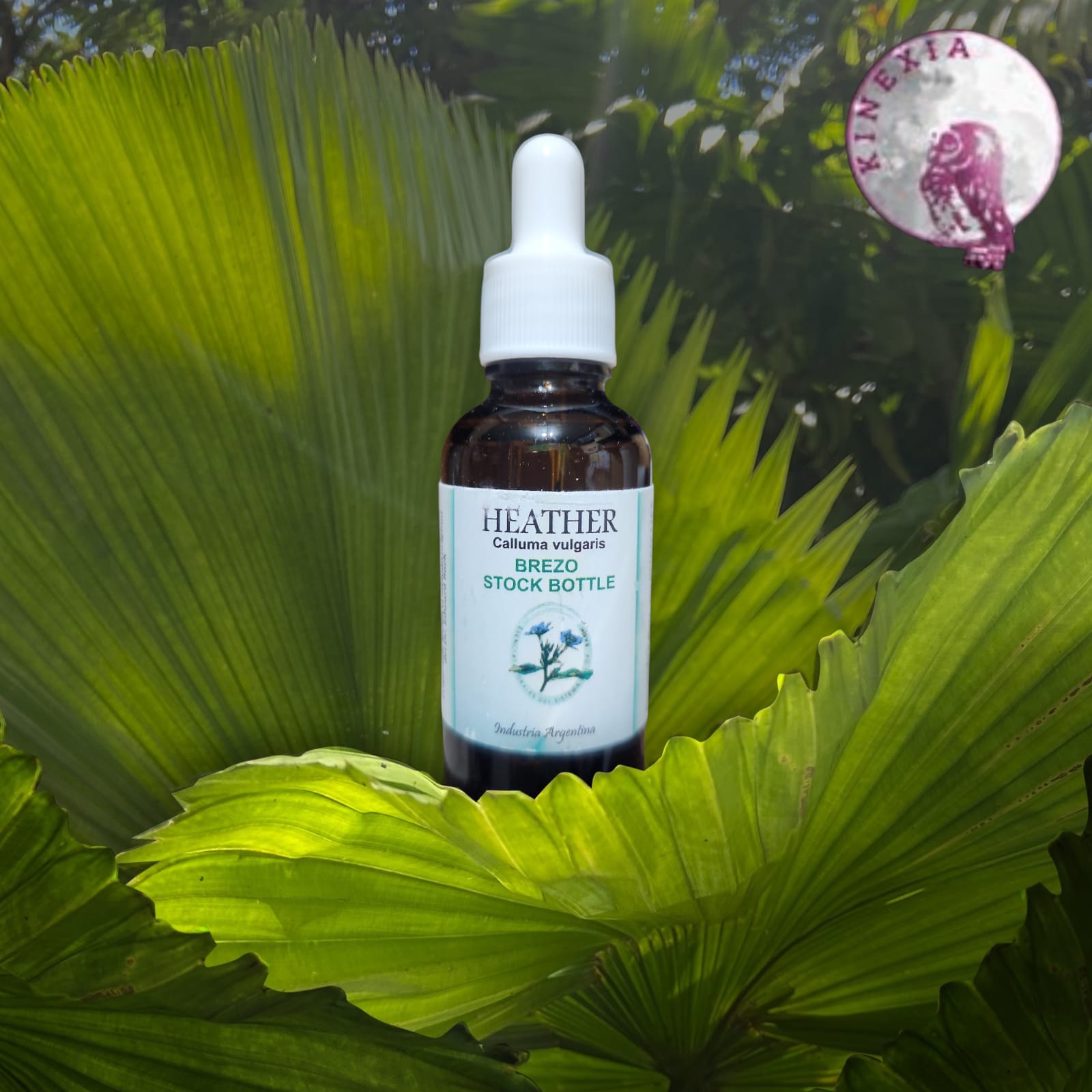 Heather 30ml