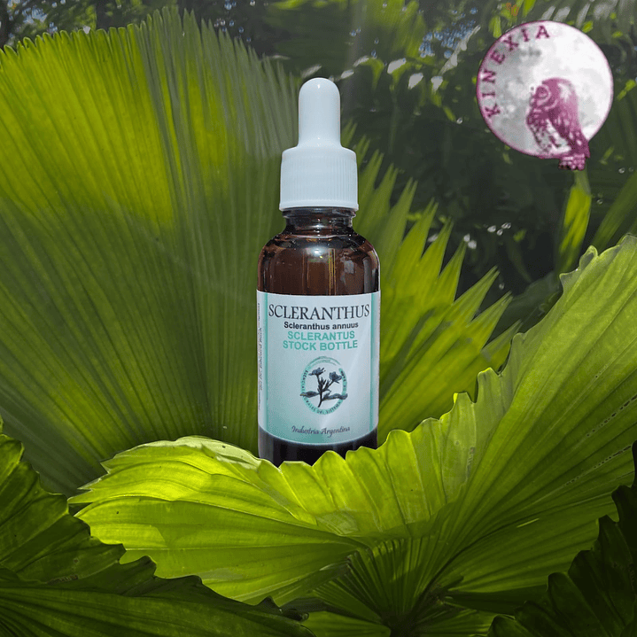 Sclerantthus 30ml 1