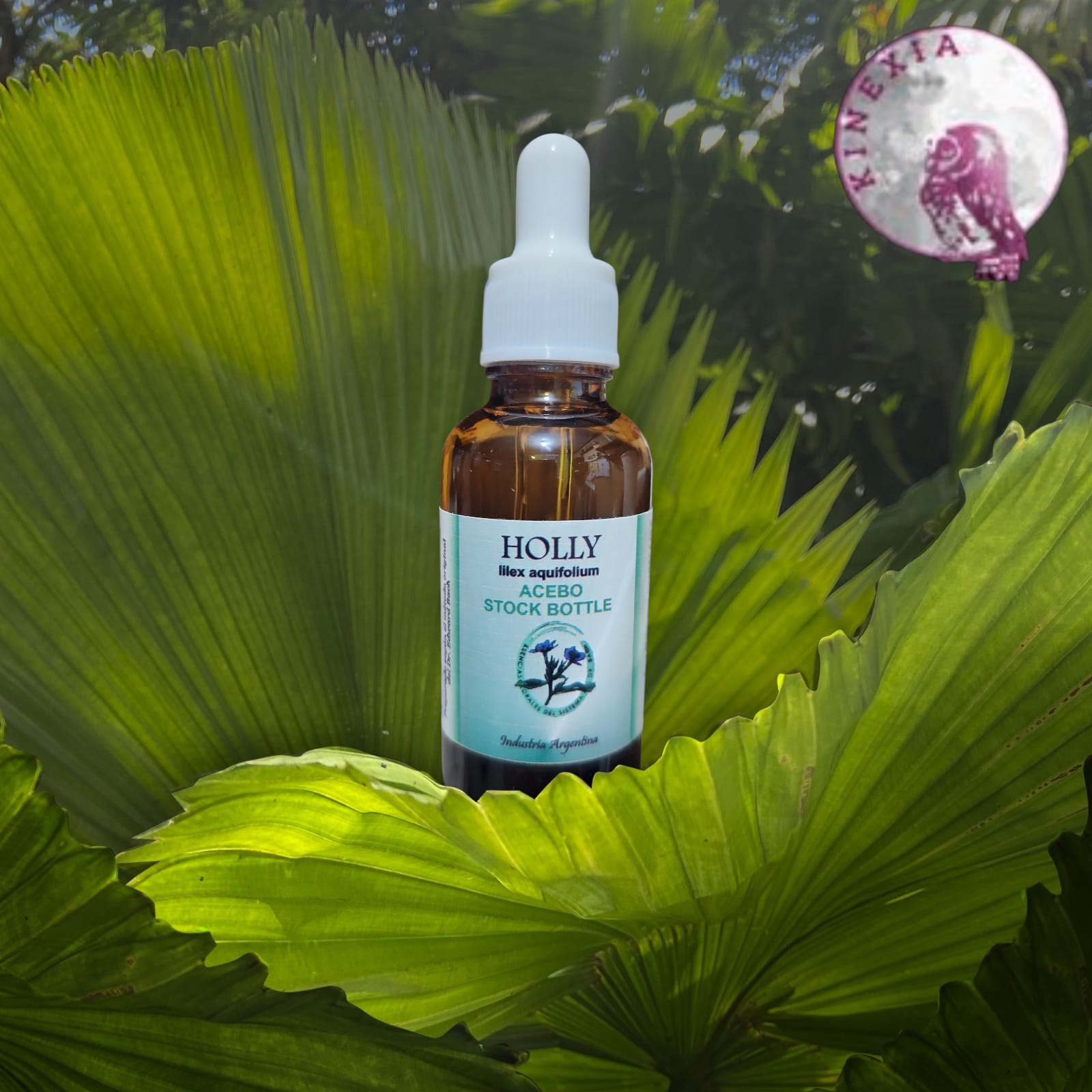 Holly 30ml